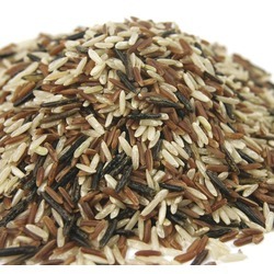 Rice and Grains